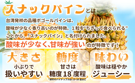 【先行予約】石垣島産 中玉スナックパイン（ボゴール）６玉 合計約６kg 《2025年夏季 順次発送》SI-112