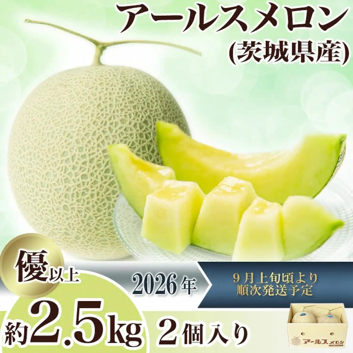 メロン 茨城県産 R8年産 アールスメロン 約2.5kg 2個