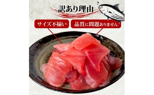 【 訳あり 】 ビンチョウマグロ 切り落とし 1.5kg（ 100g 15パック ） キハダ マグロ サイズ 不揃い TY068