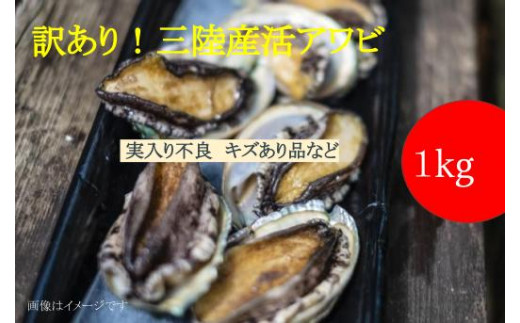 【訳あり】【配送日・曜日指定不可】【数量限定】三陸産 活アワビ 約1kg (6～10個) 【0tsuchi00962】【08】