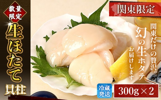 
                  【関東限定！生ほたて】《期間限定》北海道雄武産 生玉ほたて300g×2 塩水パック(冷蔵) | 配送地域限定 生ホタテ 新鮮 ホタテ 帆立 ほたて  生 生玉 冷蔵 塩水パック 塩水 未冷凍 オホーツク オホーツク産 オンライン 刺身 魚貝 魚介 海鮮 海産 海産物 魚介類 雄武漁業協同組合 お取り寄せ 北海道 雄武町 雄武【0715102】
                