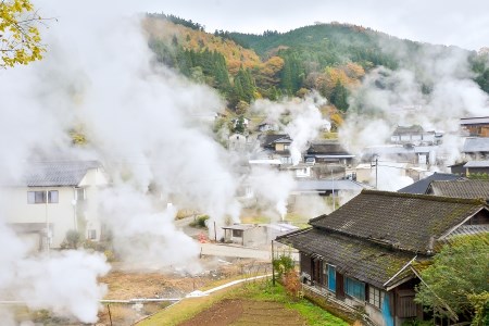 【児玉酒店】菊芋 きくいも キクイモ 乾燥 地熱 粉末 パウダー 栄養 小国 阿蘇 熊本 習慣 野菜 手軽に摂取 食物繊維 イヌリン キクイモオリゴ糖 お取り寄せ 贈答 ギフト