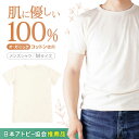 【ふるさと納税】【日本アトピー協会推薦品】オーガニックコットン半袖Tシャツ（メンズ / Mサイズ） / Tシャツ メンズ 綿 オーガニック おーがにっく オーガニックコットン 服 肌着 生成り 半袖 / 諫早市 / 株式会社美泉 [AHAP014]