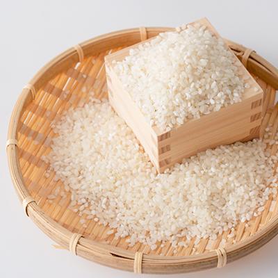 ふるさと納税 南阿蘇村 熊本県南阿蘇村産 令和7年産 特別栽培米 いのちの壱(白米)計10kg(5kg×2袋)【虹色のかば】 |  | 03