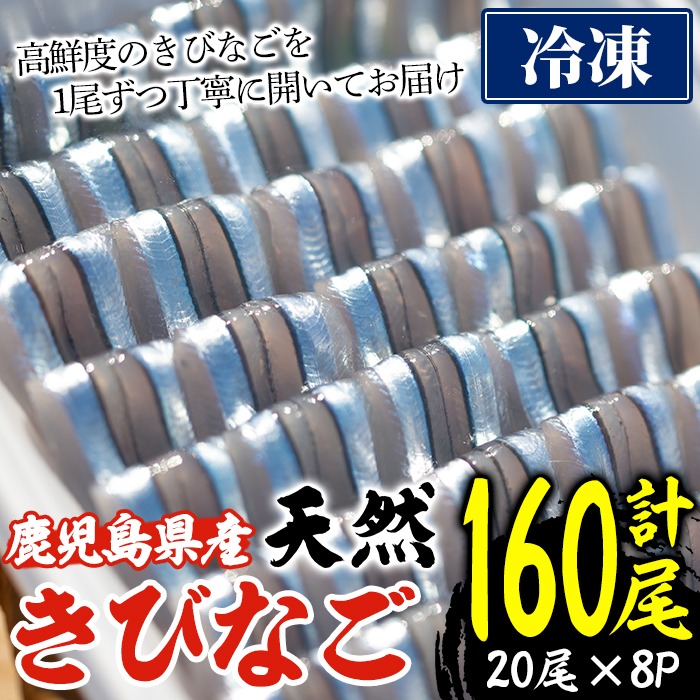 ＜冷凍＞鹿児島県阿久根産 天然きびなごのお刺身(計160尾・20尾×8パック) 国産 魚介 魚貝 海産物 鮮魚 刺身 天ぷら 冷凍配送 キビナゴ 海鮮丼 食品 セット 詰め合わせ 水産加工品【濱崎魚類】a-12-227-z