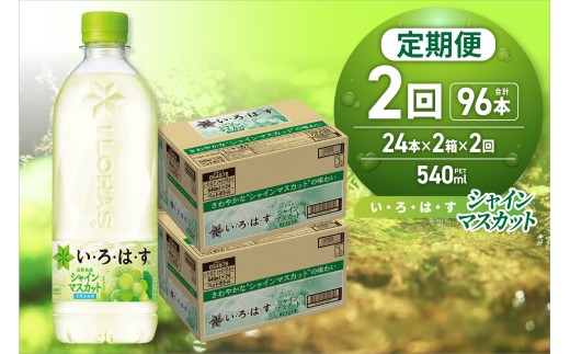 【２ヶ月定期便】い・ろ・は・す シャインマスカット540mlPET×48本｜コカ・コーラ 飲料 ドリンク 飲み物 水 北海道 札幌市