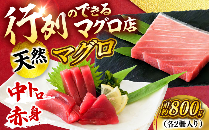 天然 まぐろ 中トロ＆赤身 各2柵（計約900g）【横須賀商工会議所 おもてなしギフト事務局（本まぐろ直売所 横須賀本店）】 [AKAK116]