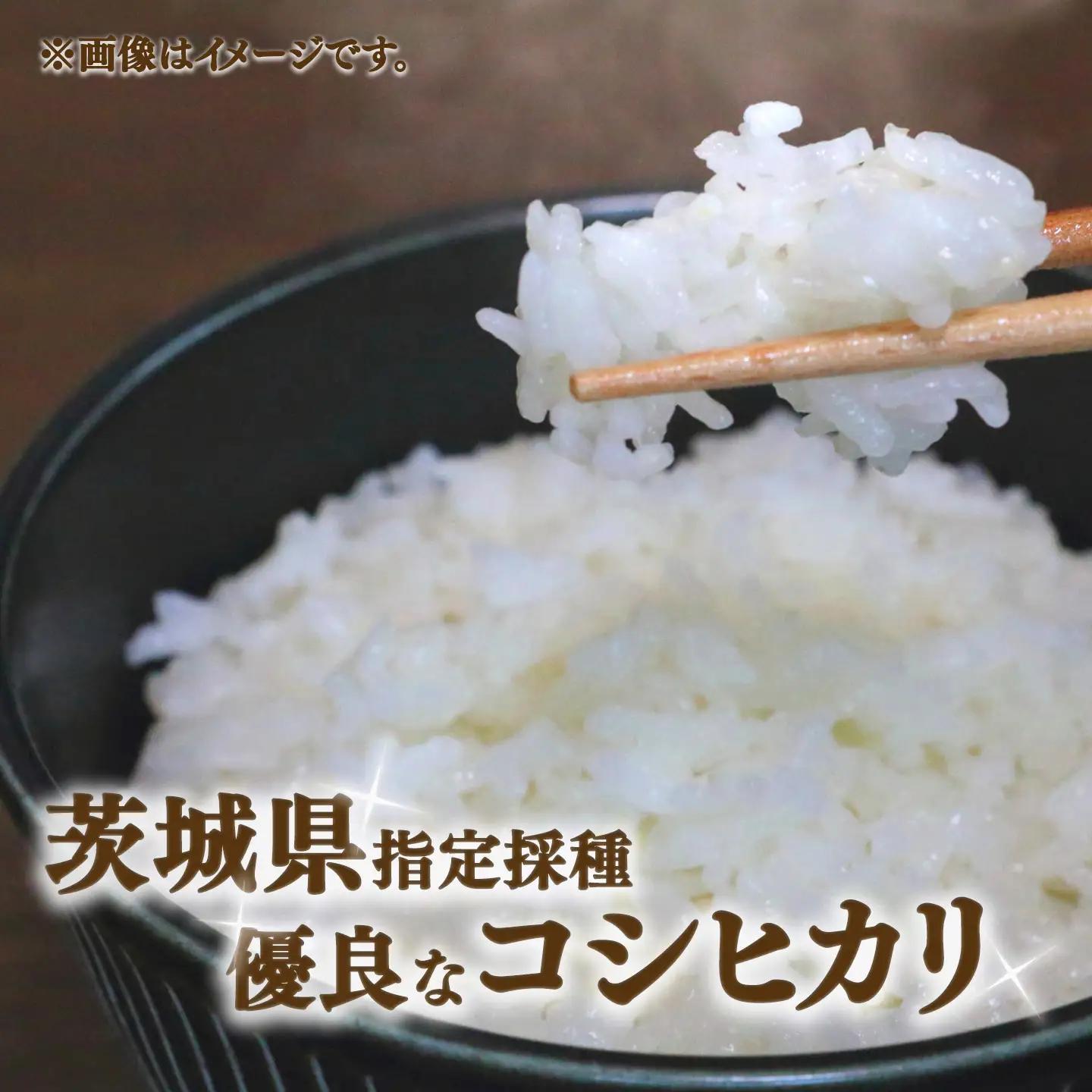 【定期便】令和7年産 コシヒカリ5kg×6回 こしひかり