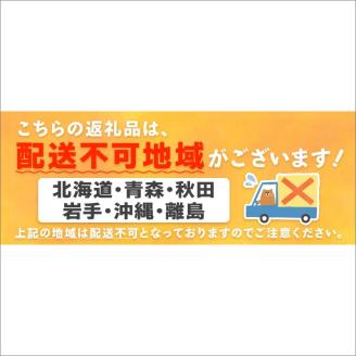 斎藤農園ブランド「ビクトリーメロン」アールスメロン（マスクメロン）2玉3kg程度≪先行予約2027年6月下旬以降発送分≫【0248-3】