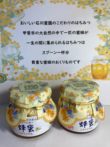 石川蜜園そのまんま　蜂蜜(250g×2本)セット [山梨 はちみつ 蜂蜜]