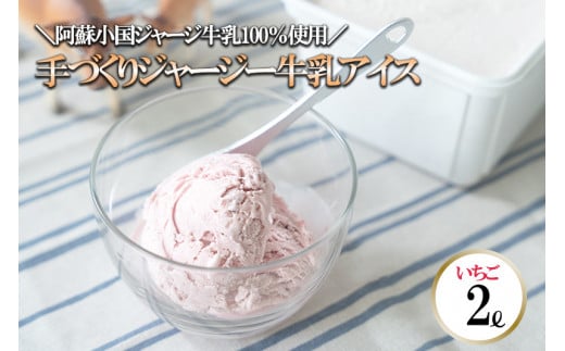 【ヒルトンビック】地元で愛され続けて30年以上！阿蘇小国ジャージー牛乳100%使用 ジェラトヒルトンの手作りアイスクリー夢（いちご×2L）