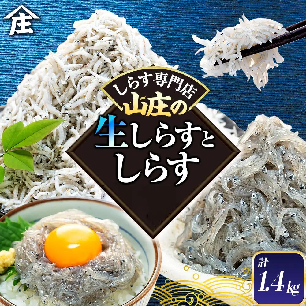 生しらす 400g 訳あり しらす干し 1kg セット 冷凍 刺身 真空パック 山庄