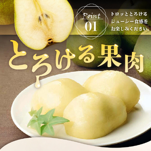 《 先行予約 》【 令和6年産 】 ラ・フランス 3kg 特秀 ( 約 7 ～ 10 玉 ) 〔 2024年11月中旬頃 ～ お届け 〕 ラフランス 洋梨 2024年産