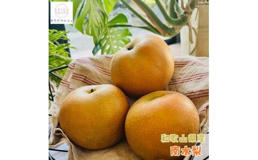 
有田の樹上成熟梨 農家直送 南水梨 約４．５ｋｇ【先行予約】
