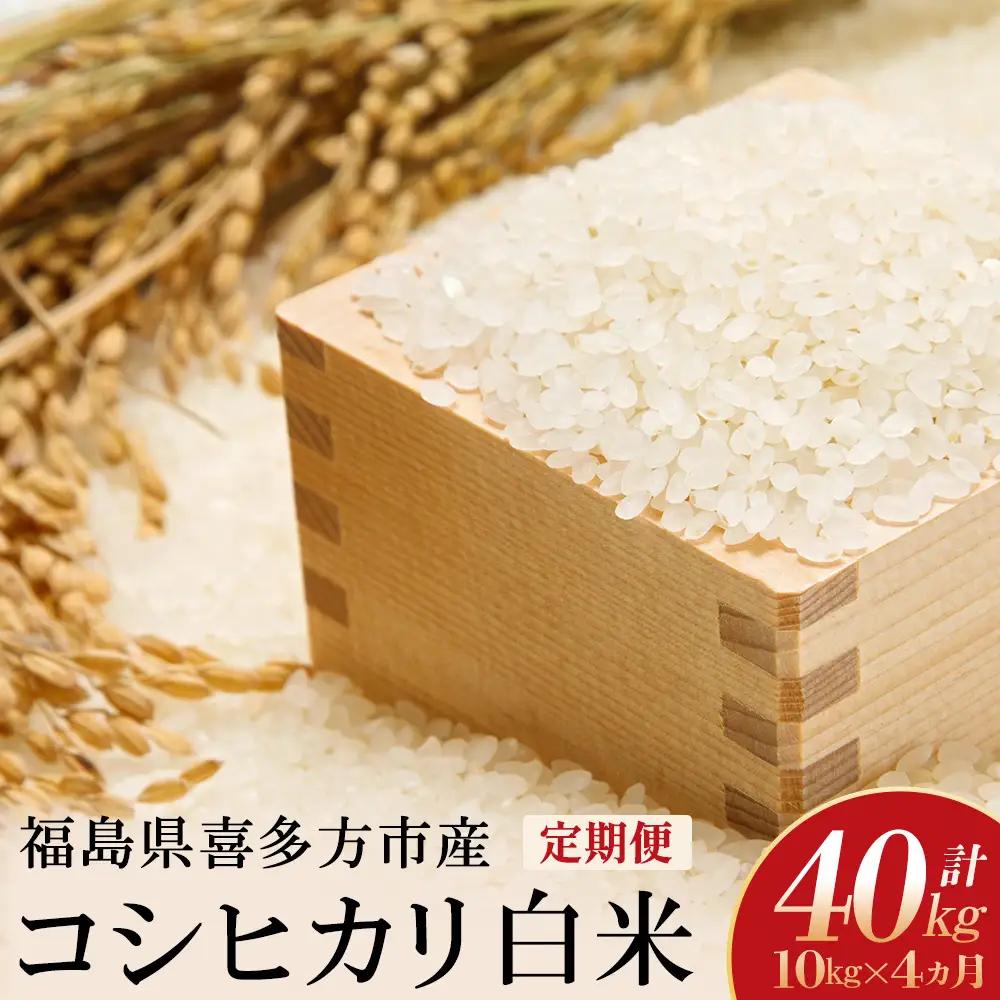 【令和8年産先行予約！】特別栽培米コシヒカリ　白米　10kg(5kg×2袋)　4か月定期便(計20kg)　[米・食味分析鑑定コンクール国際大会 特別優秀賞受賞]　【07208-1006】