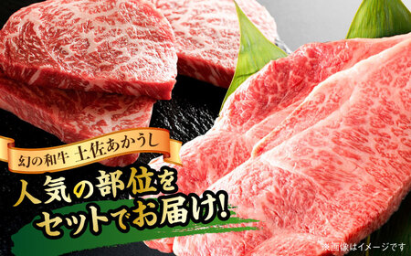 【4回定期便】土佐あかうしサーロイン&モモステーキセット 計約1kg【幻の和牛の贅沢セット】【株式会社Dorago】[ATAM040]