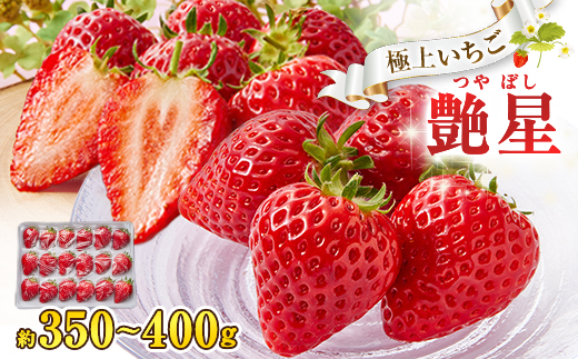 艶星(イチゴ)約350g〜約400g「甘味、酸味、風味、旨味」四つ星級に美味!採れたてをお届けします【配送不可地域：離島】【1651679】