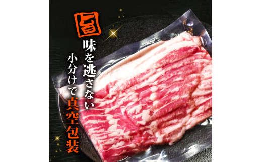 【定期便6回】四万十ポークスライス 計5.4kg（900g×6ヶ月連続お届け) 2Cコース | 豚肉 豚バラ肉 小分け 小間切れ スライス 切り落とし 冷凍 真空パック 簡単調理 細切れ 大容量 肉 