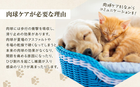 W00-014 ミツロウ肉球クリーム