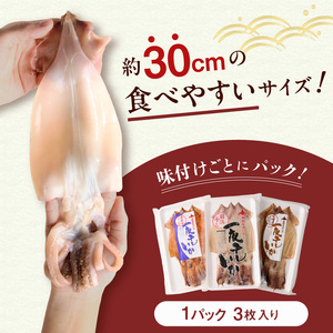 函館産 いか 味付け 一夜干し 9枚セット おつまみ_HD010-005