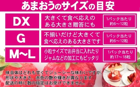 あまおう DX等級のみ 約1.04kg 約260g×4パック あまおう 果物