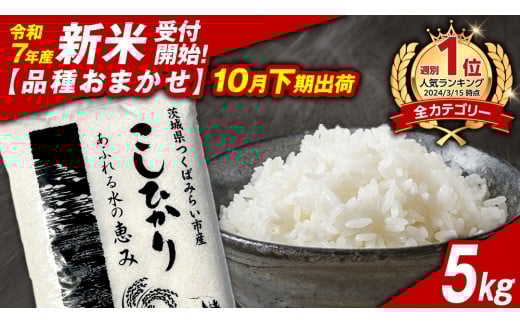 ＼ 新米先行予約 ／【10月下期出荷】品種おまかせ 5kg 茨城県つくばみらい市産 精米 こしひかり コシヒカリ あきたこまち ひとめぼれ ふくまる ゆめひたち ミルキークイーン にじのきらめき  米 コメ こめ 単一米 限定 茨城県産 国産 美味しい お米 おこめ おコメ