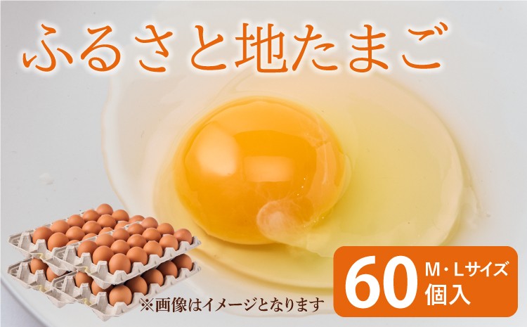 
            卵 ふるさと地たまご 60個（M・Lサイズ）赤たまご 10個破損補償含む
          