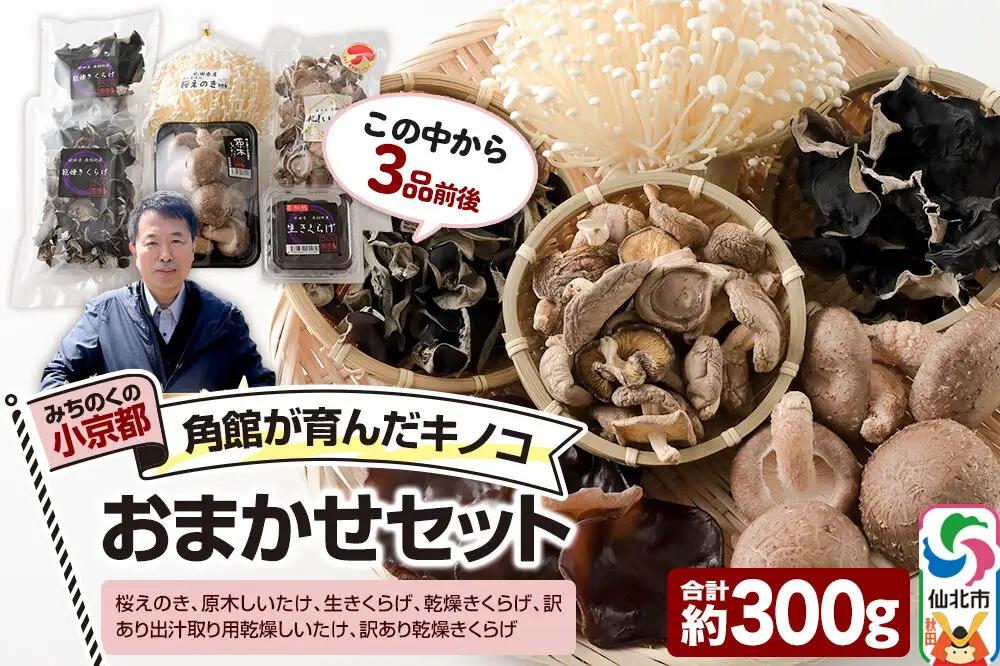 みちのくの小京都・角館が育んだ「おまかせセット」（桜えのき、原木しいたけ、生きくらげ、乾燥きくらげ、訳あり出汁取り用乾燥しいたけ、訳あり乾燥きくらげ）合計約300g(3品前後)きのこ詰合わせセット