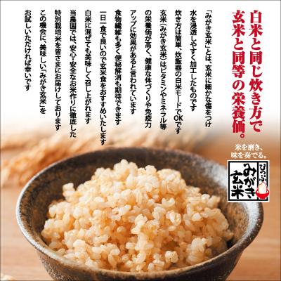 ふるさと納税 比布町 西間農園 特別栽培米ななつぼし みがき玄米 5kg【2026年3月〜4月上旬発送】 |  | 03