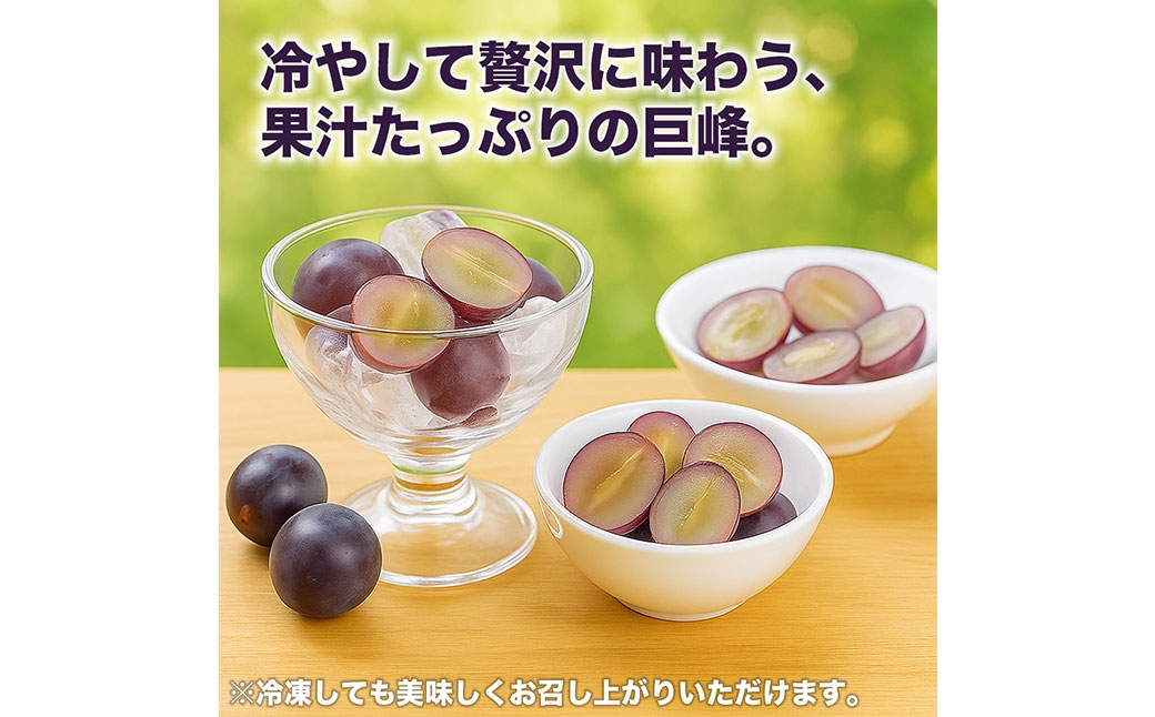 巨峰ぶどう8パック約2.4kg