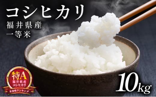 数量限定【令和7年産】福井県産 コシヒカリ 一等米 10kg【米 コメ お米 ブランド米 白米 精米 こしひかり 国産 北陸 5kg 10kg ご飯 ごはん 小分け 家庭用 ふるさと納税米】[101-a201]