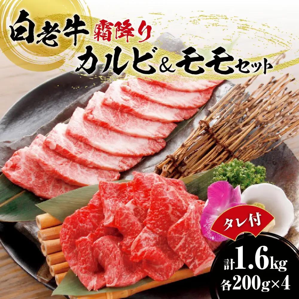 白老牛 霜降り カルビ＆モモセット合計1.6kgたれ付 牛肉