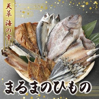 ふるさと納税 天草市 まるまのひもの_S113-001A