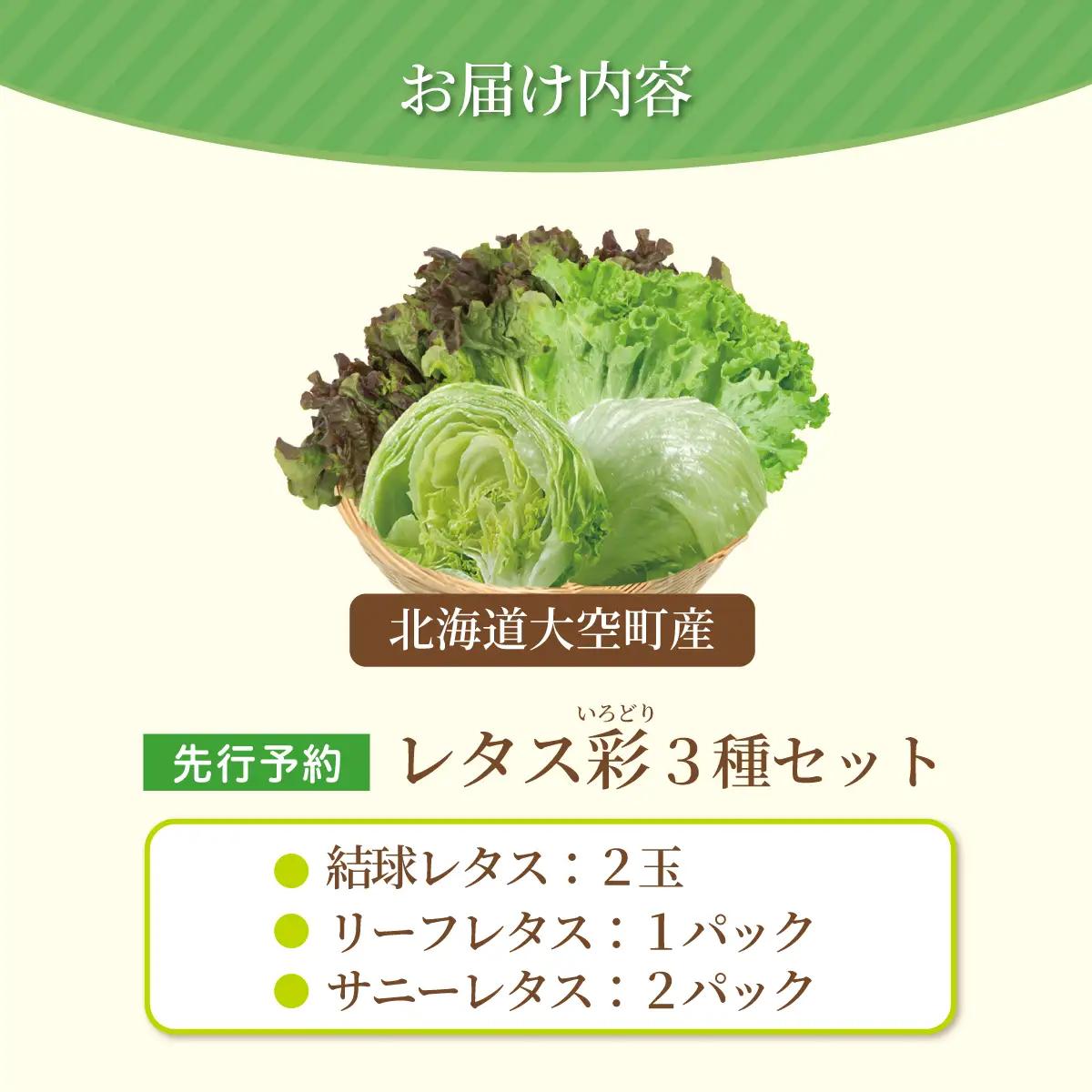 【先行予約】レタス彩（いろどり）3種セット（2026年9月以降順次発送）  OSU003