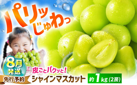 シャインマスカット 【8月発送】 約1kg＜濱�ｱ農園＞CGN001 シャインマスカット シャインマスカット シャインマスカット シャインマスカット シャインマスカット シャインマスカット
