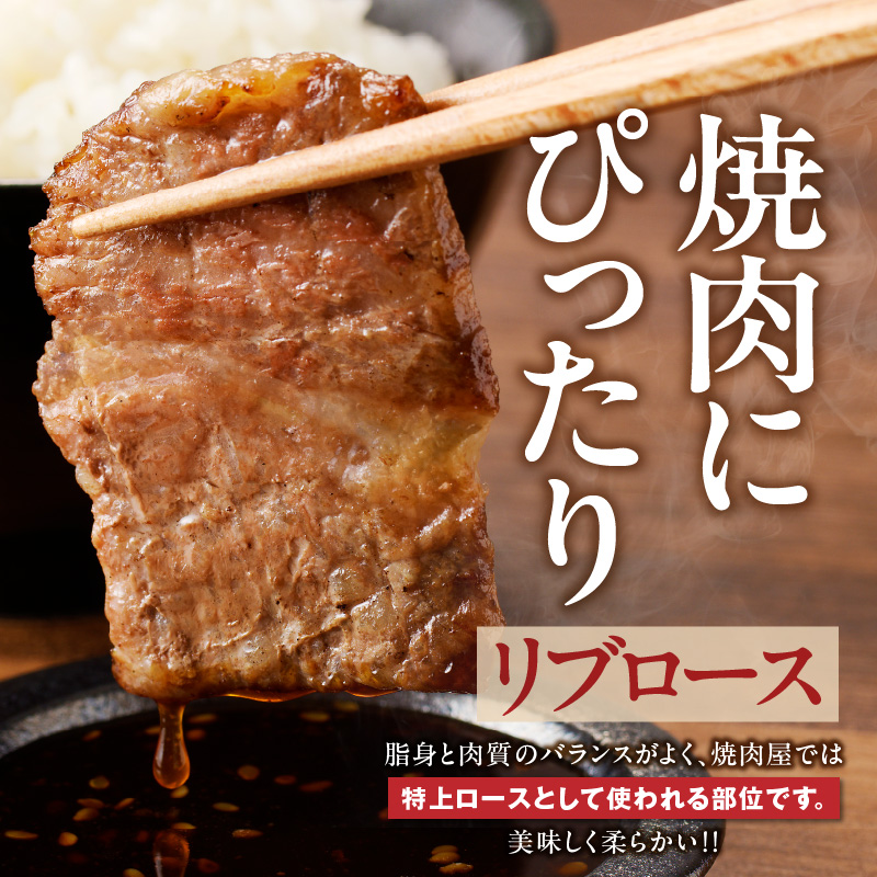 筑後船小屋牛リブロース焼肉500g【福岡県産】