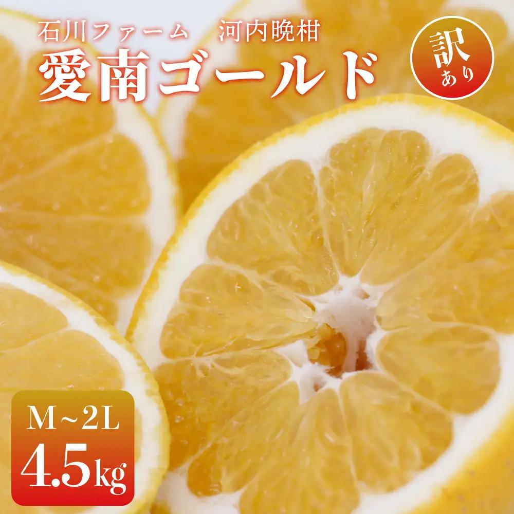 訳あり 愛南ゴールド（河内晩柑) 4.5kg サイズ（M～2L) 愛媛県 みかん 石川ファーム 