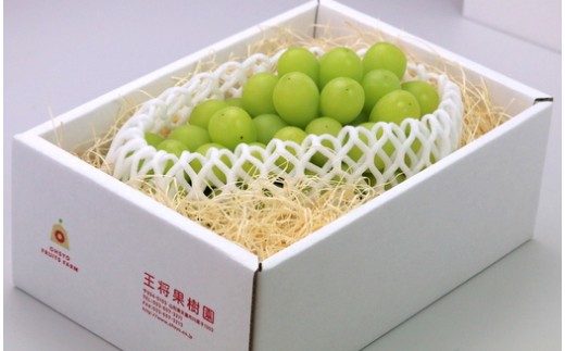 08-03-008　ぶどう(シャインマスカット)1～2房