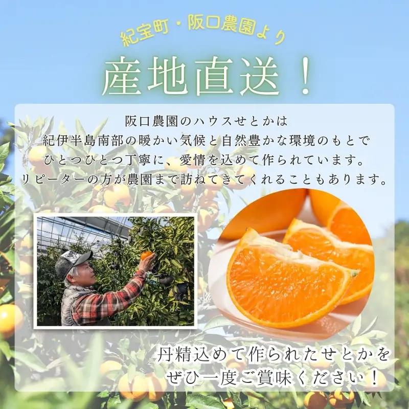 せとか 阪口農園のハウスせとか 3kg【msa001B】