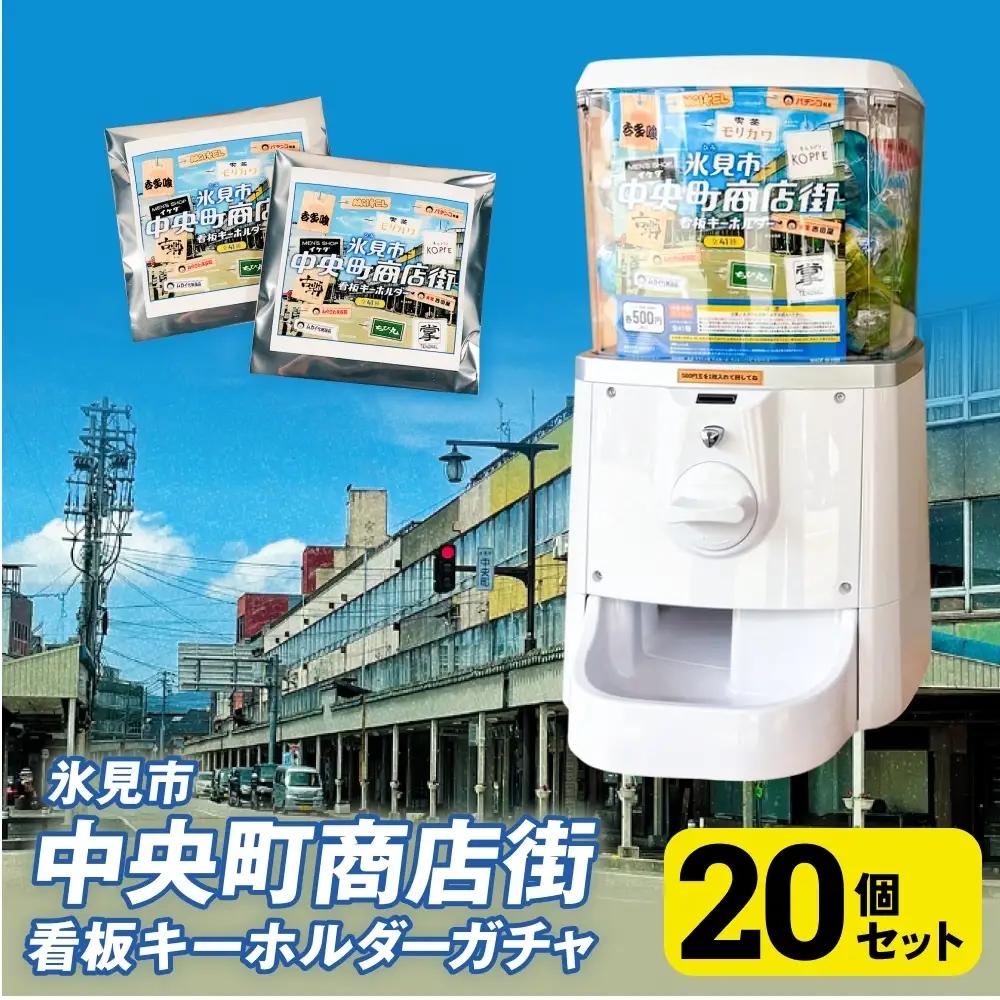 氷見市中央町商店街看板キーホルダーガチャ ［ 20個セット ］ キーホルダー ストラップ  ガチャガチャ トレーディング 看板 富山県 氷見市 レトロ
