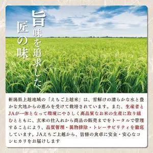 コシヒカリ5㎏ 新潟県 上越産 米 コシヒカリ 令和7年産