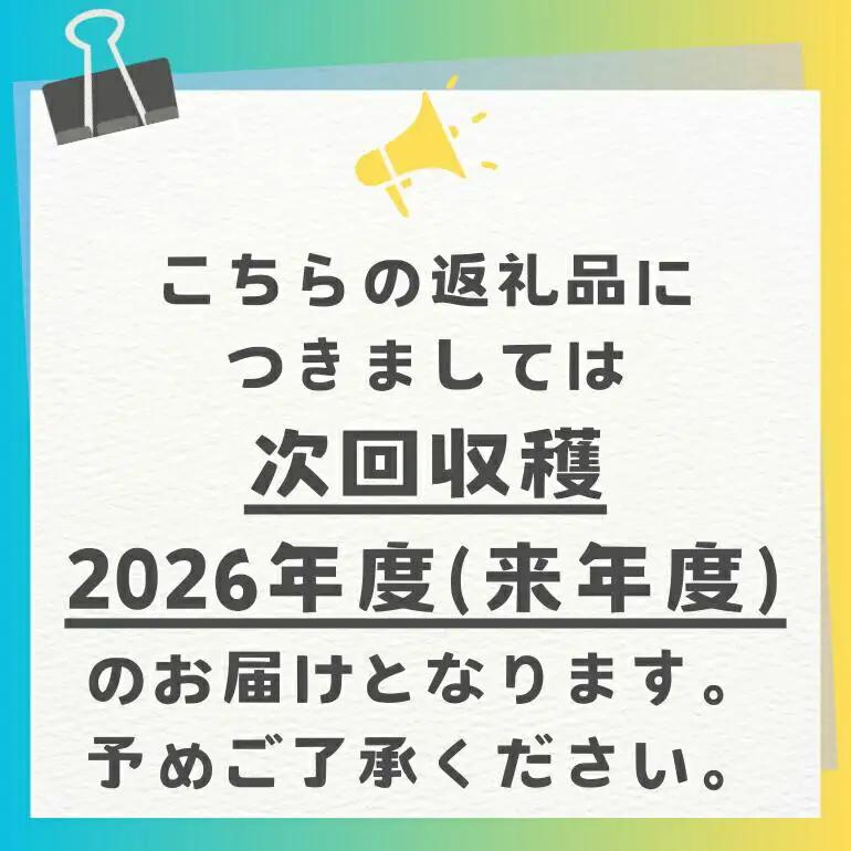 【先行予約 2026年 発送】 農家直送 太陽ファームの キーツマンゴー 2kg （ 秀品 ） 沖縄 マンゴー 緑色 希少 7月 8月 旬 夏 限定 産地直送 mango 沖縄マンゴー 2キロ 2～7