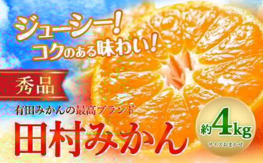 みかん 田村 みかん 秀品 4kg サイズ指定なし 株式会社とち亀物産《11月下旬-1月中旬頃出荷》和歌山県 日高町 フルーツ くだもの 果物 柑橘 旬 ノーワックス 送料無料 紀伊国屋文左衛門本舗 蜜柑 ミカン オレンジ