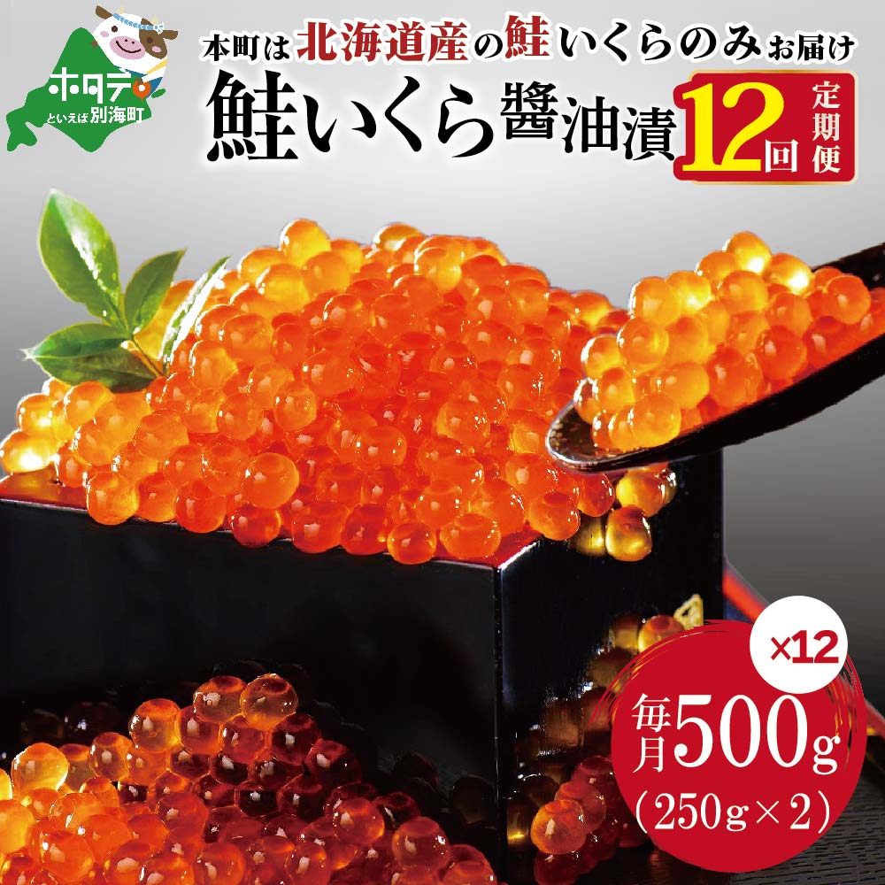 【 年12回 いくら 定期便 毎月 定期 】高評価★5.0 北海道 産 鮭 イクラ 500g ( 250g × 2パック ) 12回 産直 計 6kg （ ふるさと納税 イクラ 定期便 いくら 定期便 醤油漬け 小分け 大粒 鮭卵 12 12ヶ月 12ケ月 12ヵ月 12か月 訳あり 送料無料 秋 旬 ）