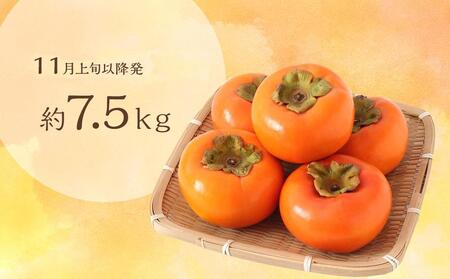 【ご家庭用】和歌山県産 富有柿約7.5kg【2025年11月上旬から11月下旬頃順次発送】【S96006-mtgn050】