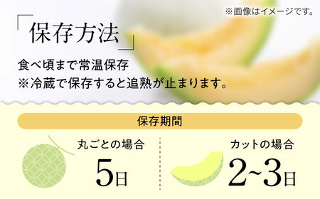 【2027年4月下旬-発送】【根強い人気!】 訳あり プリンスメロン 約4kg（7?13玉）傷もの / メロン めろん フルーツ 果物 / 南島原市 / 南島原果物屋[SCV024]
