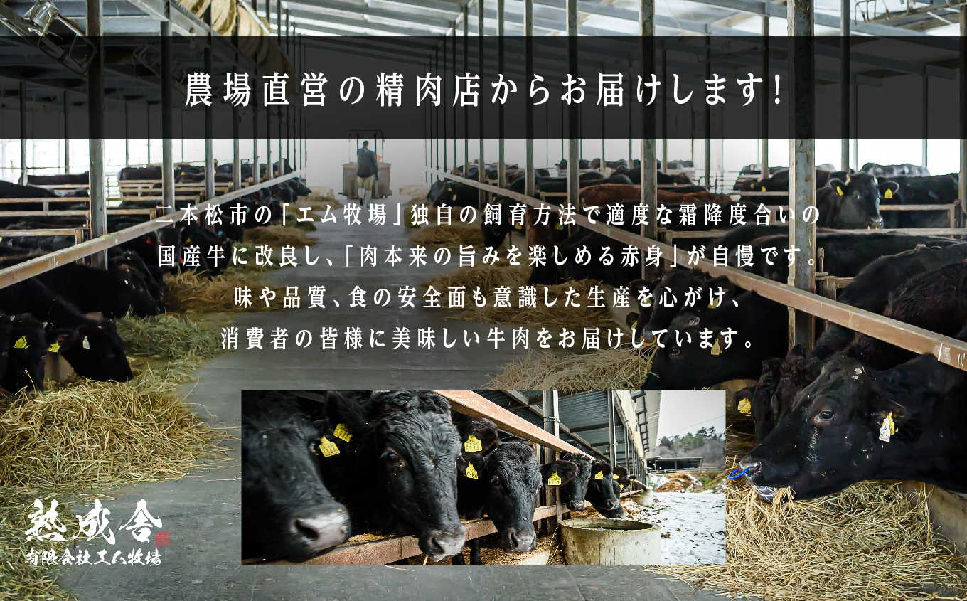 二本松熟成牛 切り落とし4kg（250g×16袋）  小分け 牛肉 肉 切落し 薄切り 部位 お取り寄せ グルメ 牛丼 炒めものに プレゼント おすすめ お中元 お歳暮 ギフト 二本松市 ふくしま 福