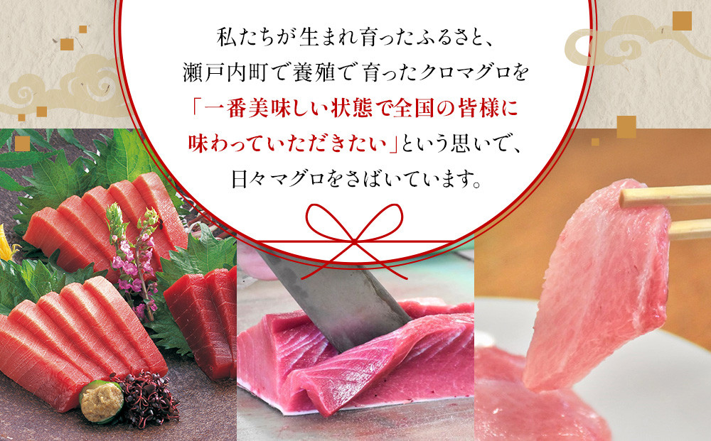 【3回定期便】奄美大島産養殖クロマグロ 4柵セット 900g以上