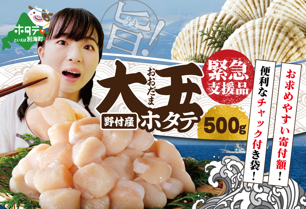 北海道別海町野付産大玉ホタテ 500g (15玉前後)【KT0000038】