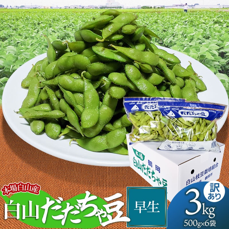 【令和7年産先行予約】本場白山産 濃厚だだちゃ豆 早生(わせ)【訳あり】 3kg（500g×6袋） 枝豆　農家 長四郎